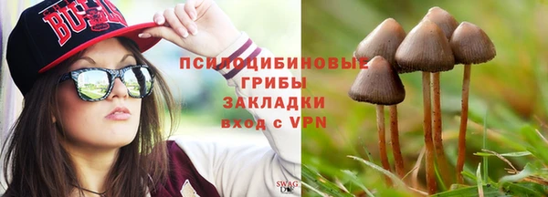 соль курить ск Гусь-Хрустальный