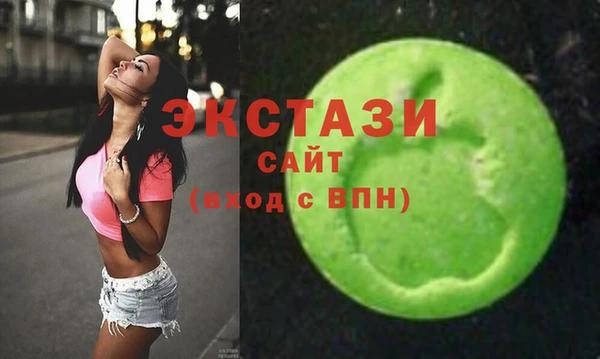 apvp Гусев