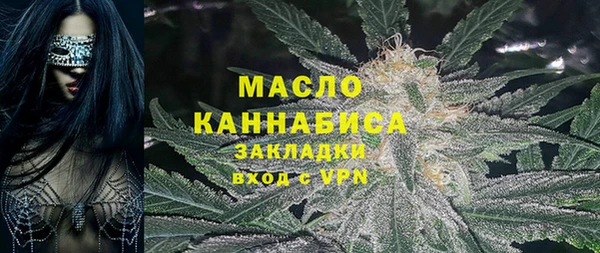 apvp Гусев
