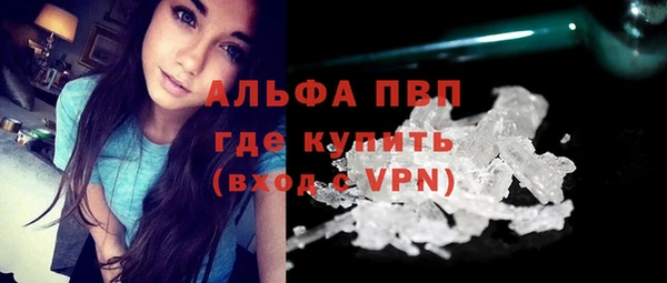apvp Гусев