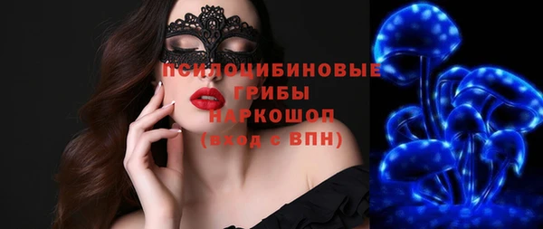 apvp Гусев