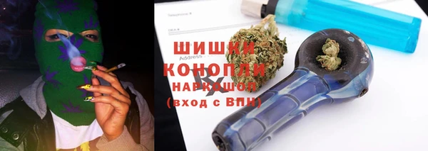 apvp Гусев