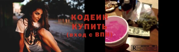 apvp Гусев