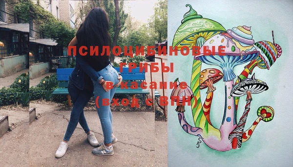 соль курить ск Гусь-Хрустальный