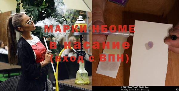 apvp Гусев
